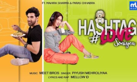 Hashtag Love Soniye Lyrics - Meet Bros | Piyush Mehroliyaa