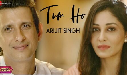 Arijit Singh - Tum Ho Lyrics In English (Translation)