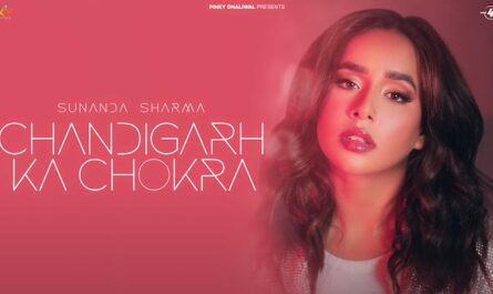Sunanda Sharma - Chandigarh Ka Chokra Lyrics In English (Translation)