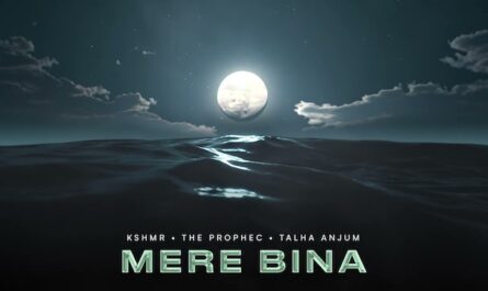 The Prophec & Talha Anjum - Mere Bina Lyrics In English (Translation)