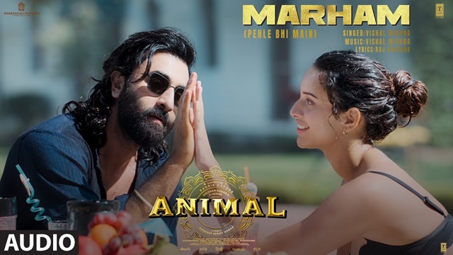 Vishal Mishra – Animal: Marham (Pehle Bhi Main) Lyrics Meaning