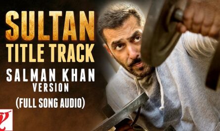 Salman Khan - Sultan Title Track Lyrics In English (Translation)